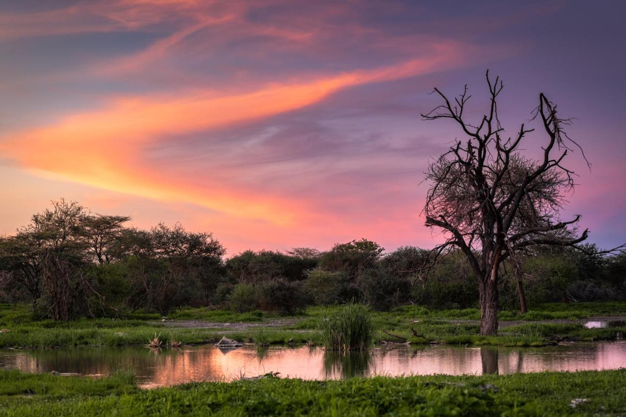 Hotel Kifaru Bush Camp Outjo Exterior foto